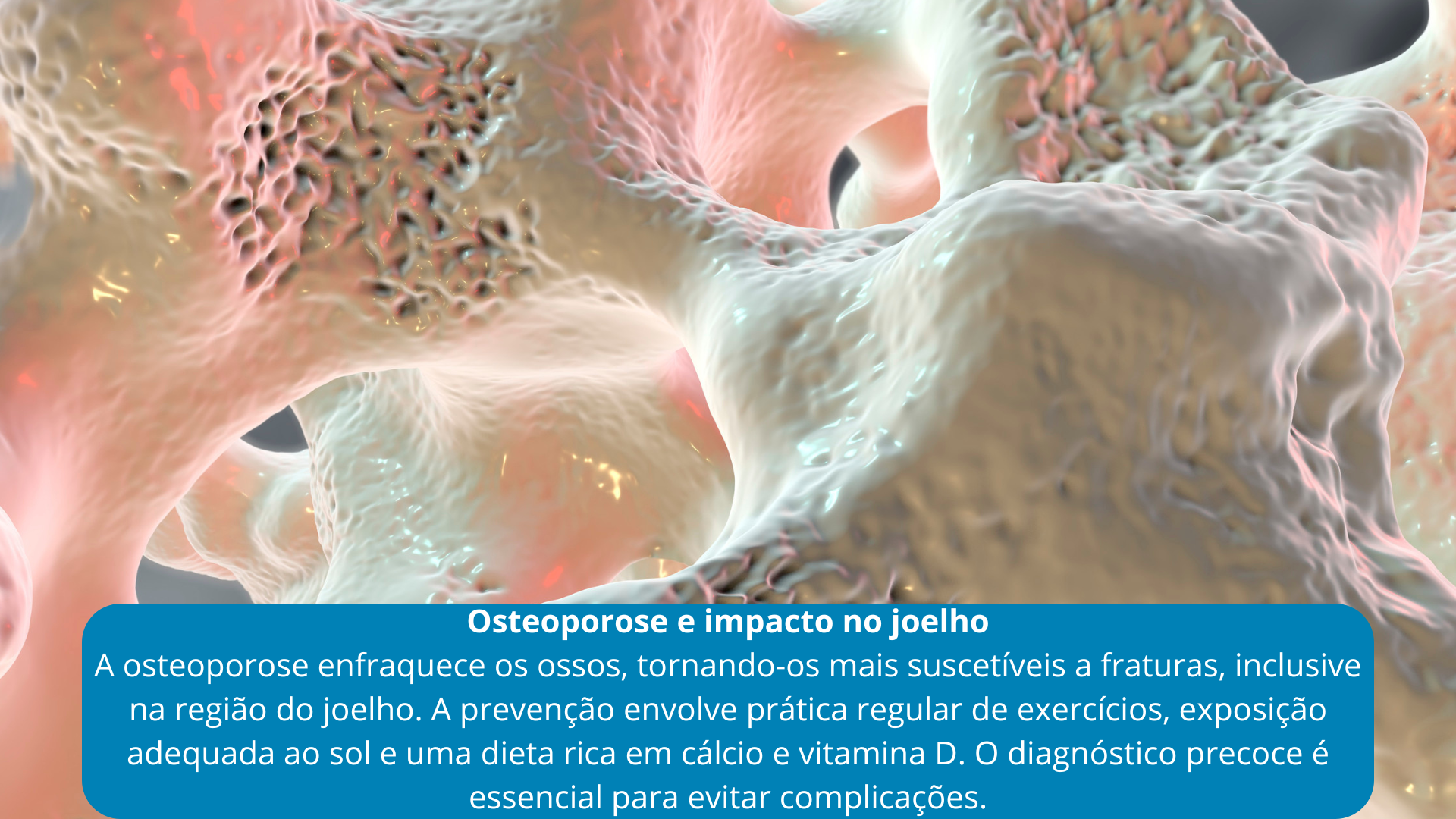 Imagem 5